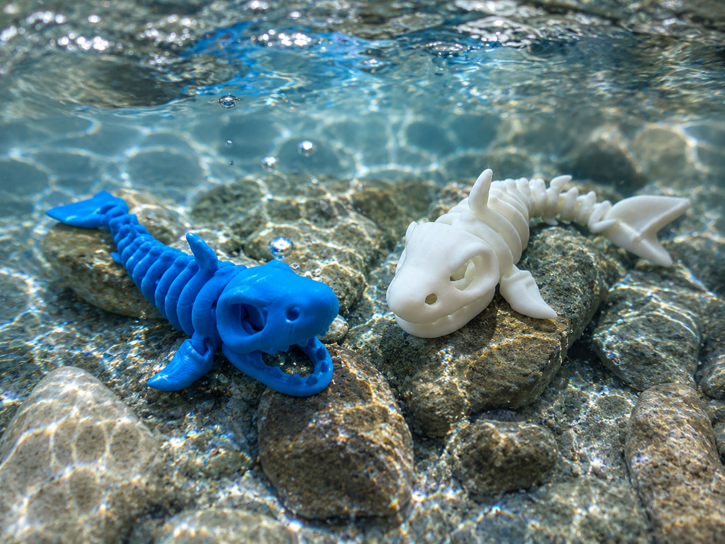 Skeleton Shark